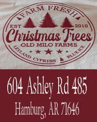 Old Milo Farms Christmas Tree Farm 2025