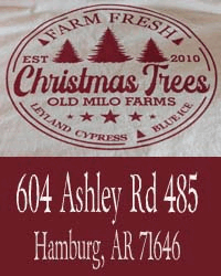 Old Milo Farms Christmas Tree Farm 2023