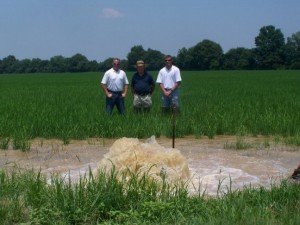 Stevens at irrigation pump near rice field