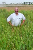 Pelkki with 2-yr switchgrass plot at Pine Tree Matt Pelkki at a two-year-old switchgrass plot