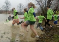 plungers