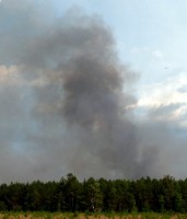 40 acre fire, as seen from a distance.