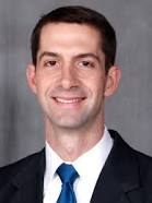 tom cotton