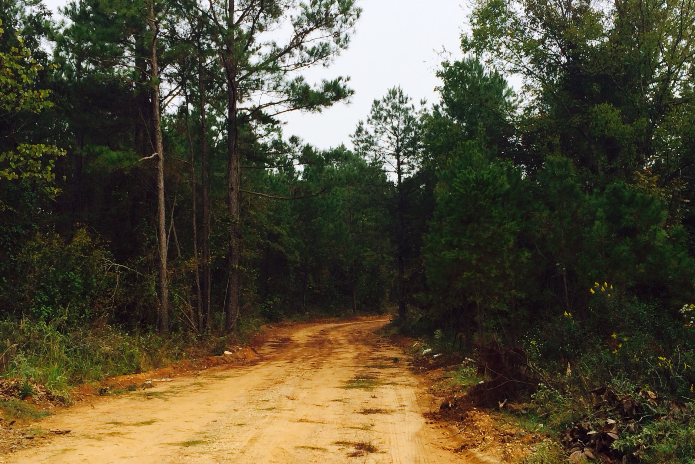 Police Legal Monticello Live Police Legal Monticello Live