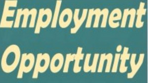 Employment opportunity flat 