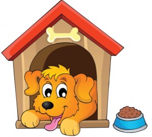 Dog house rescue