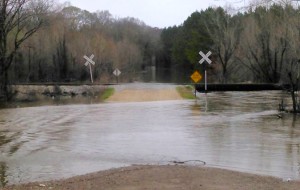 Selma – Collins Road at HWY 35