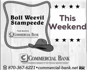 Commercial Bank boll weevil stampede