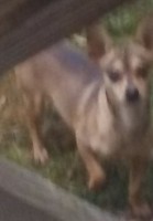 878C0767-BC48-440B-9C86-FE4258105500