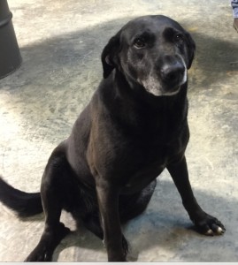 A0C10EBB-6C4F-4826-8DC8-1F96502E50C5