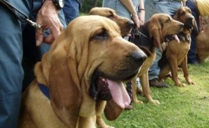 FA38DB87-EBFF-4B6D-B2D3-D1EF82D14418