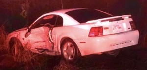 F85CEF31-AA0E-43C4-8EED-D1ADF4E31A34