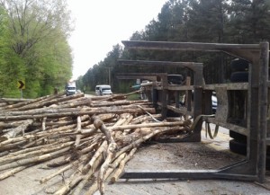 F6611B04-237D-41B4-A026-C3150BF5943F