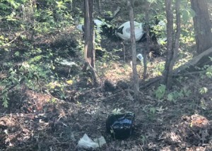 17E8C947-376A-490C-87EA-D3C1D17F24E1