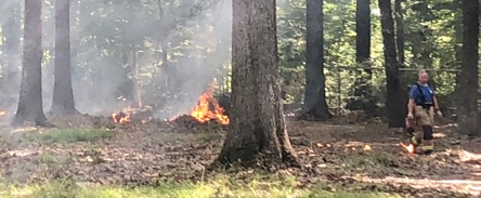 1CC3A8C3-FAB3-4BB0-A419-D9755ECDDFBD