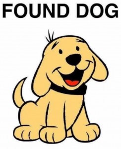 A1C99A4D-B0ED-4A97-B954-CDCE70D75882