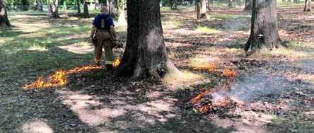 E8797384-62C1-4E53-BA6F-9738D7447E4B