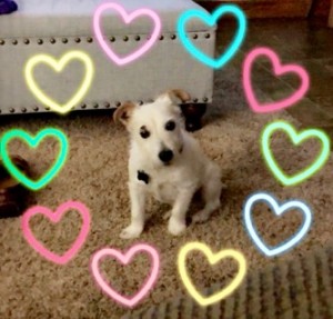 6CBB92DB-C988-45A0-9D51-E767CBB0F439