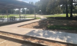 738C80D6-A798-440F-B34A-2375CAE69776