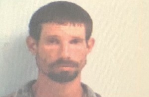 Christopher M Holmes