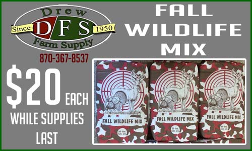 FallWildlifeMix