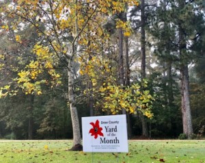 25C80EF2-D361-4B17-9C54-A0100794AE03