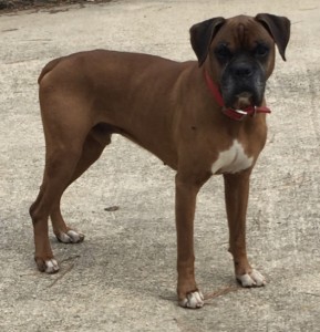 329B8BAF-0D72-4F73-9CC3-F869DDD3053A