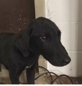 35213B62-AE95-45FC-A623-E28FA0057F55