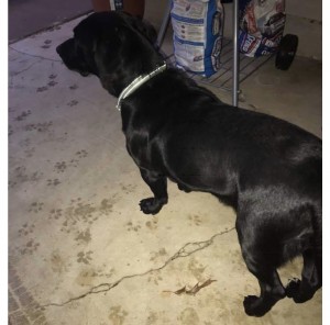 0E98A815-E223-4D3A-954B-A5B969EB3B6D