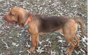 4F4C7E32-F8C9-4A78-85FB-DBC2B66C8FCA