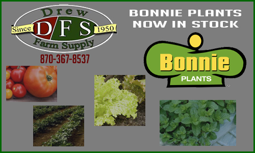 BonniePlants copy