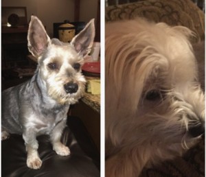 FFF97C32-5F8D-4EB8-AB43-27A8AC1D96EF