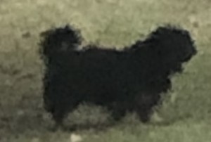 4F838036-8AEA-4AFF-9937-04183D6A049C