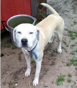 7BE9B8B4-E594-4EE0-B223-10C4E5909530