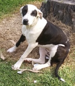 9E9A6C2A-2C75-41E5-8323-FB6C9E827852