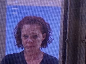 Jay William Carlisle