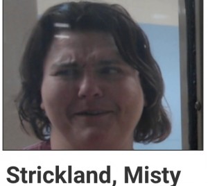 A75742C4-918F-4E03-BD2F-1D16770633E9