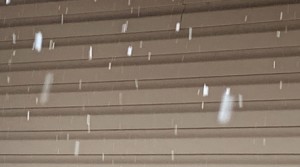 03D3E5A3-6BDA-4C3B-BD1F-F1129269359C