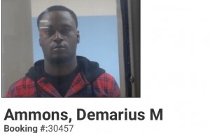 Demarius M Ammons