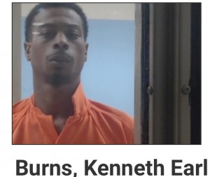 Kenneth Burns 