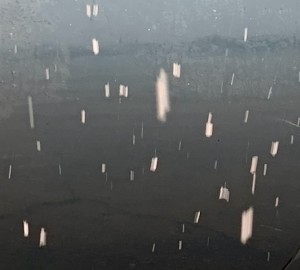 E9C91392-4812-4835-B1B3-9408ED0DBA28