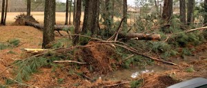 100B5409-B6B3-4AE0-828C-B3611EF97510