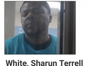 B6D6BC8F-C1D0-4B59-8002-7CB1C89C5A44