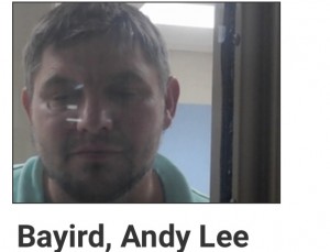Andy Bayird