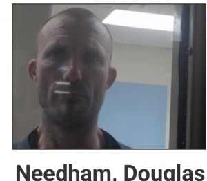 Douglas Needham