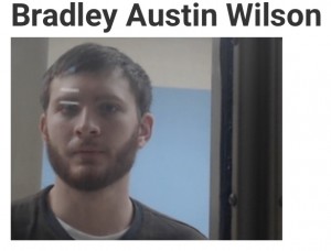 Austin Wilson Bradley