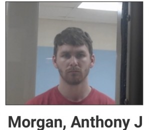 5F06AB80-C602-4FCB-B21B-4E06146F1D7E