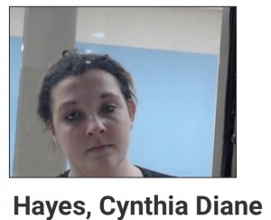 Cynthia Diane Hayes