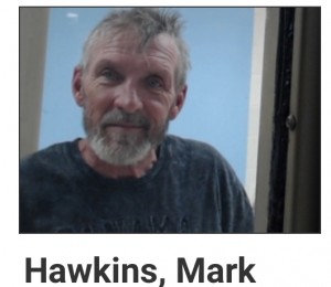 Mark Hawkins
