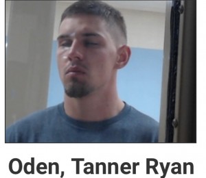 Tanner Oden